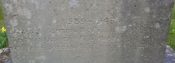 6. WW2 Panel